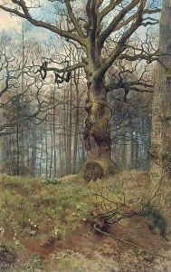 The Spring wood