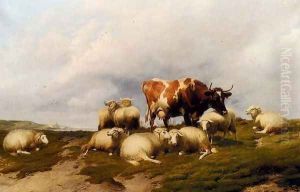 A Cow And Sheep On The Cliffs by Thomas Sidney Cooper