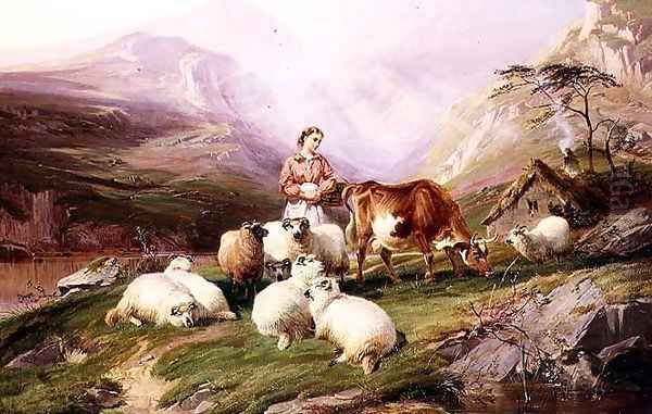 Cow and Sheep on a Mountain Pasture - view 1