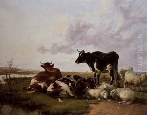 Cattle and Sheep Grazing - view 1