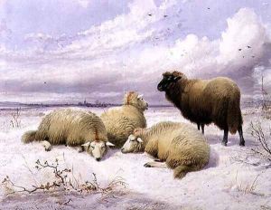 Sheep in the Snow by Thomas Sidney Cooper