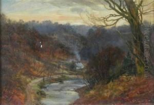 Winter Afternoon Near Hamilton, Lanarkshire