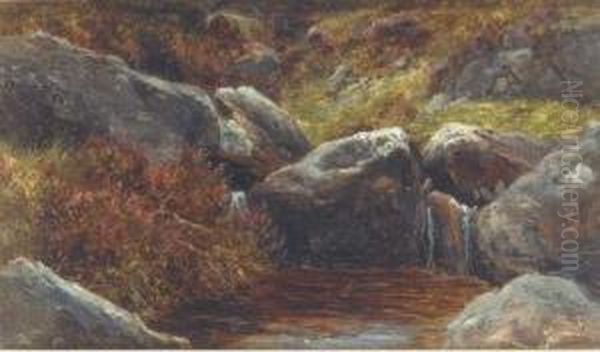 Rocks And Heather - view 1