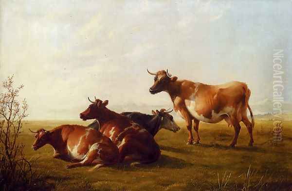 Cows In A Meadow - view 1