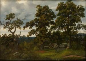 Ekar, Djurgarden by Carl August Fahlgren