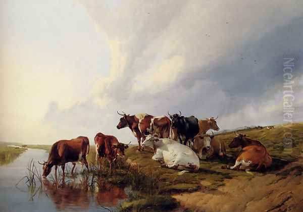 Evening In The Meadows - view 1
