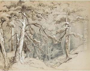 View Into A Forest by Carl Ludwig Fahrbach