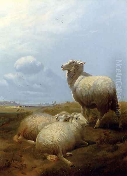 Sheep At Pasture - view 1