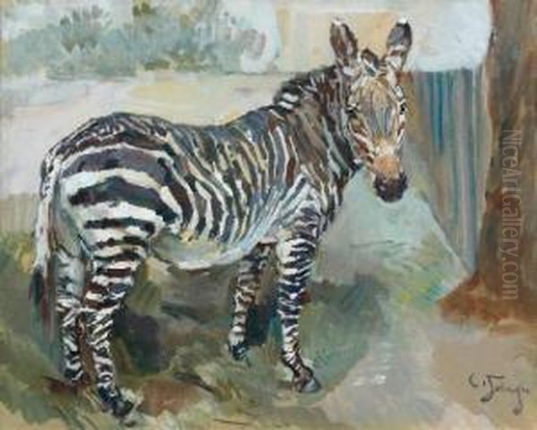 Zebre - view 1
