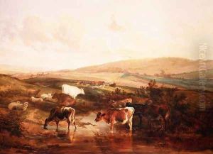 Grazing animals