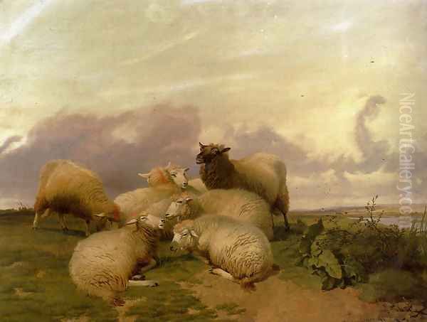 Sheep In Canterbury Water Meadows - view 1