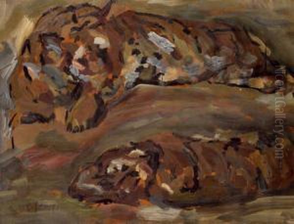 Tiger - view 1