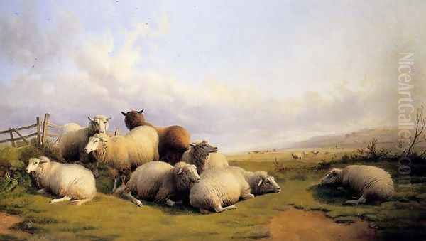 Sheep In An Extensive Landscape - view 1