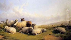 Sheep In An Extensive Landscape by Thomas Sidney Cooper