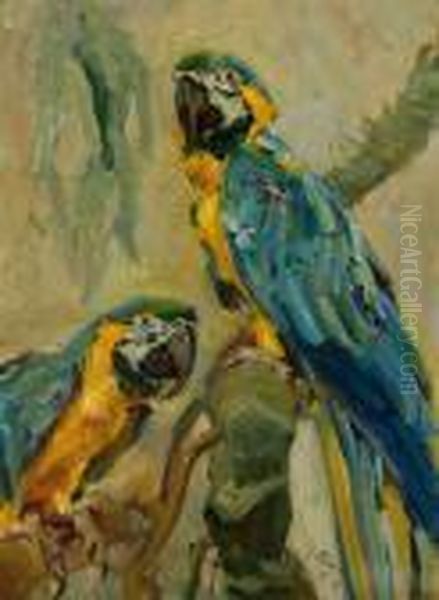 Two Parots - view 1