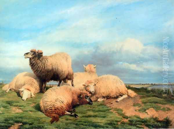 Landscape with Sheep - view 1