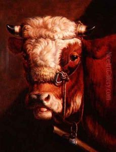 Portrait of a Bull's Head