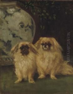 Mother And Daughter