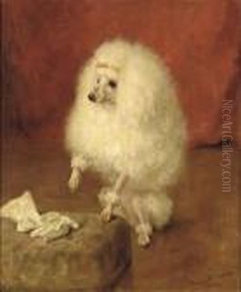 Portrait Of A Poodle - view 1