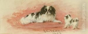 Tibetan Spaniels by Frances C. Fairman