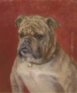The Head Of A Bulldog by Frances C. Fairman