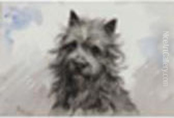 A Terriersigned - view 1