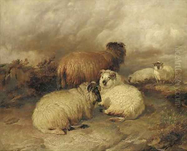 Sheep in a moorland landscape - view 1