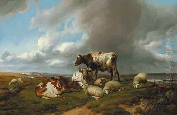 On the South Coast, with cows and sheep - view 1