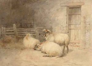 Sheep resting before a barn by Thomas Sidney Cooper