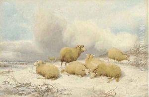 Sheep resting in the snow by Thomas Sidney Cooper