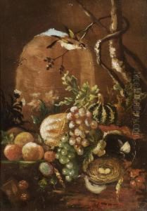 Natura Morta by Giuseppe Falchetti