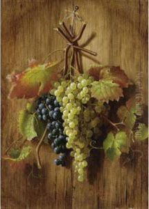 Natura Morta Con Uva by Giuseppe Falchetti
