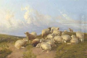 Sheep at Canterbury Meadow by Thomas Sidney Cooper