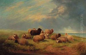 Sheep resting on a cliff top by Thomas Sidney Cooper