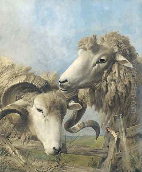 Heads of a sheep and a ram - view 1