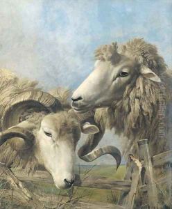 Heads of a sheep and a ram by Thomas Sidney Cooper