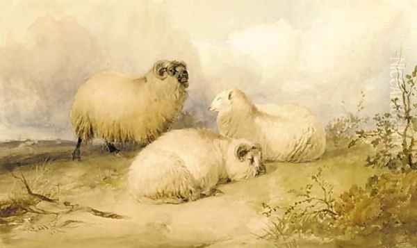Two rams and a ewe - view 1