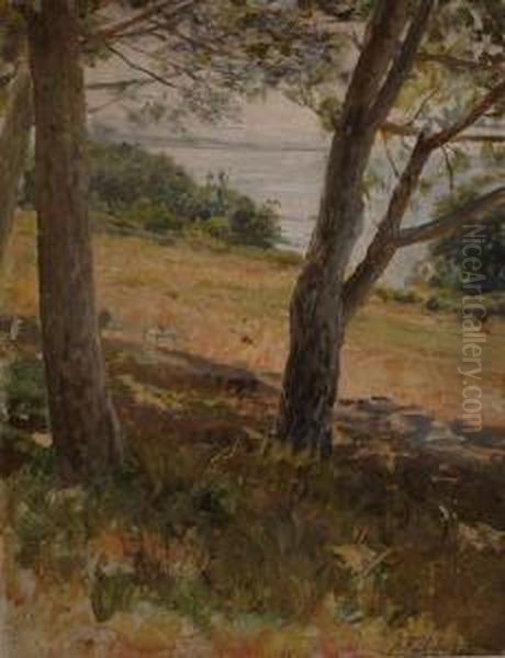 Alberi - view 1