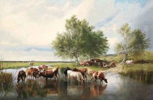 On a Dairy Farm