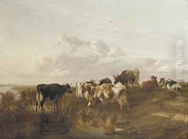 Cattle in the marshes - view 1