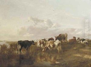 Cattle in the marshes by Thomas Sidney Cooper