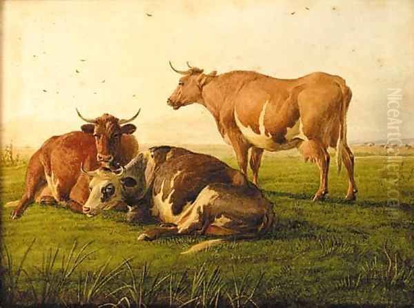 Cattle resting 3 - view 1