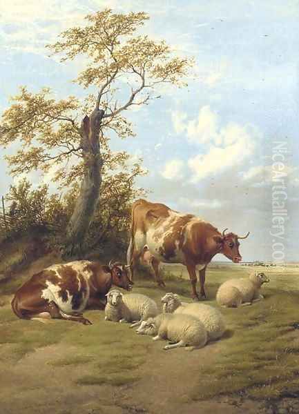 Cattle Resting - view 1