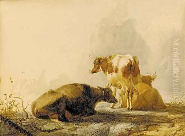 Cattle resting 2 - view 1