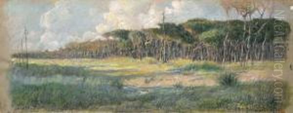 Paesaggio - view 1