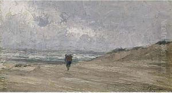 Shell-gatherer At The Beach - view 1