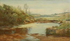 Penrose Pond,land's End by John Farquharson
