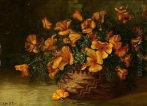 California Poppies In An Indian Basket