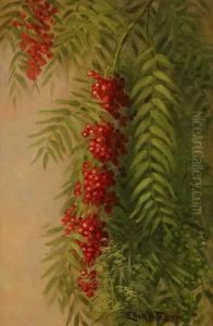 Pepper Tree Berries & Foliage S L/r: Ellen B. Farr O/cb 12x8
Provenance: Residence by Ellen Frances Farr