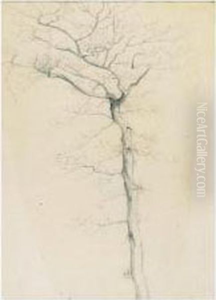 A Tree Study - view 1